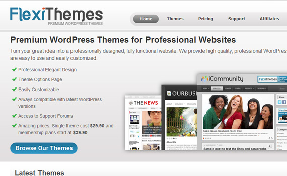 lexithemes-marketplace für premium wordpress themes